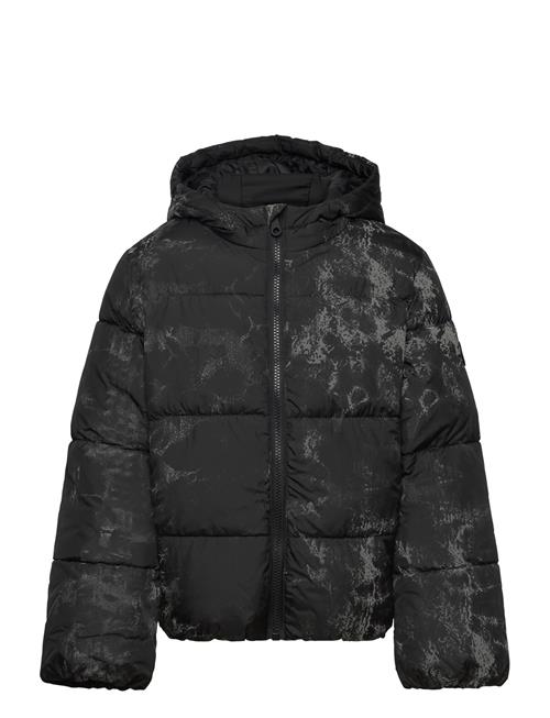 Puffer Jacket Tom Tailor Black