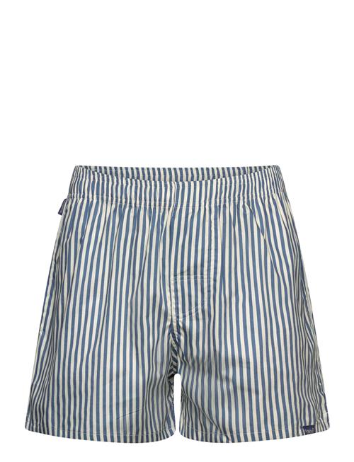 Blue Striped Pockies Blue