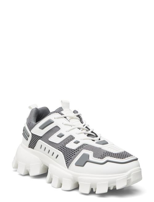 Steve Madden Prize-K Sneaker Steve Madden Grey