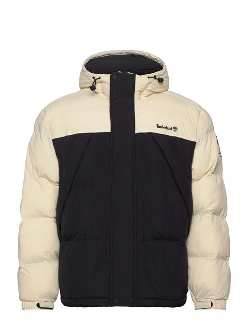 Durable Water Repellent Puffer Jacket Angora/Black Timberland Black