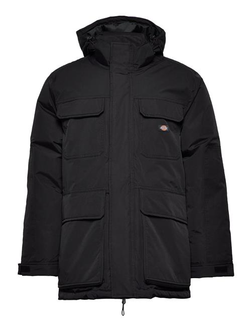 Dickies Glacier View Expedition Dickies Black