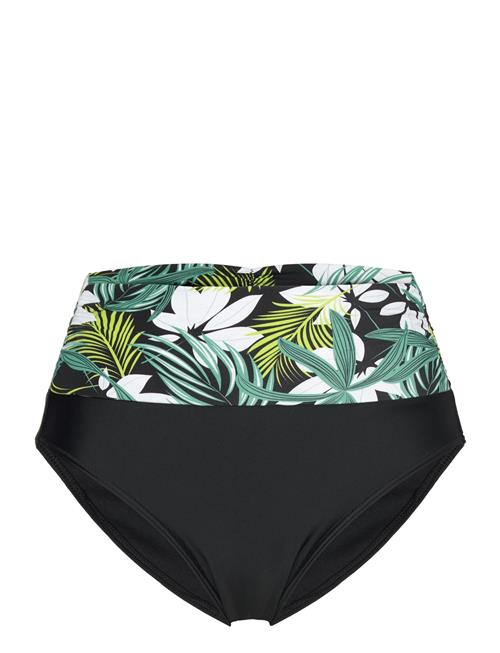 Swim Tai De Luxe Wiki Black