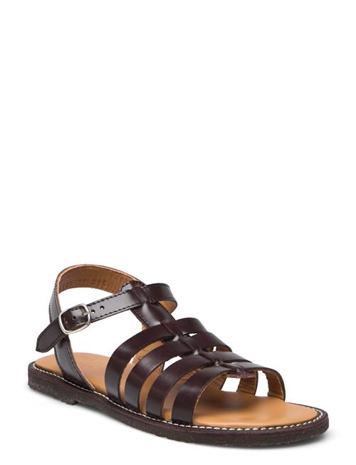 ANGULUS Sandals - Flat - Open Toe - Op ANGULUS Brown