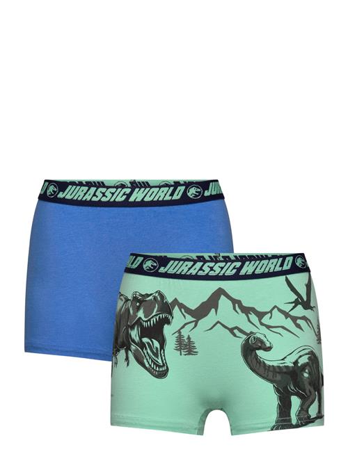 Boxer Sun City Jurassic Park Blue