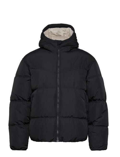 Hco. Guys Outerwear Hollister Black