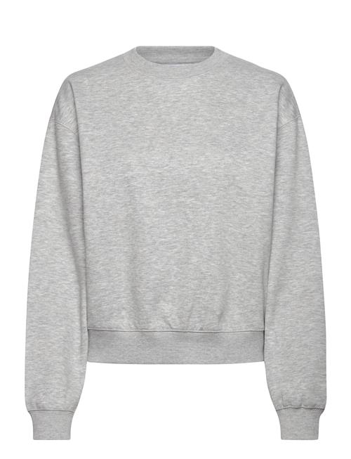 Standard Sweatshirt Weekday Grey