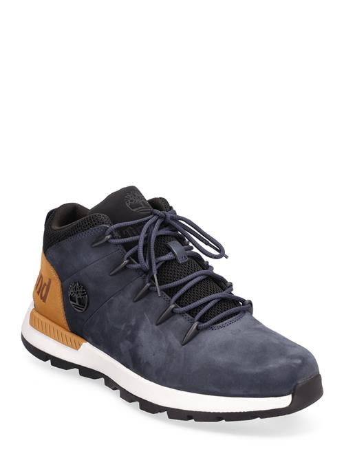 Mid Lace Up Sneaker Timberland Blue