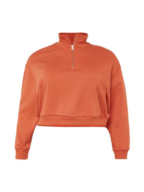 Levi's® Plus Sweatshirt 'PL Cosmo 1/4 Zip'  lys rød