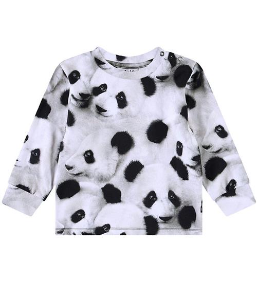 Se Molo Bluse - Eloy - Giant Panda ved KidsWorld