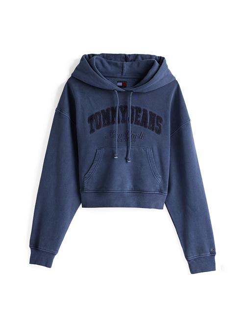 Tommy Jeans Sweatshirt  navy / natblå