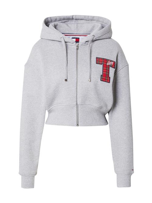 Tommy Jeans Sweatjakke  marin / grå / mørkerød / hvid