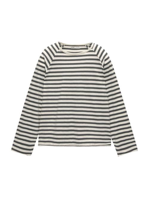 Pull&Bear Shirts  mørkegrå / hvid