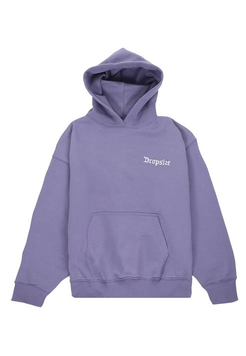 Dropsize Sweatshirt  violetblå / hvid