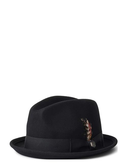 Brixton Gain Fedora Brixton Black