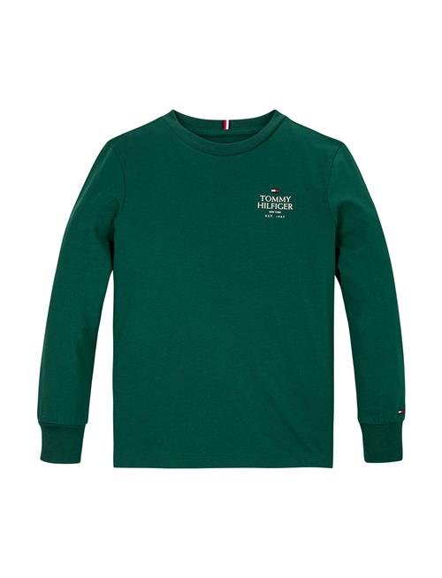 Th Logo Puff Print Reg Tee Ls Tommy Hilfiger Green