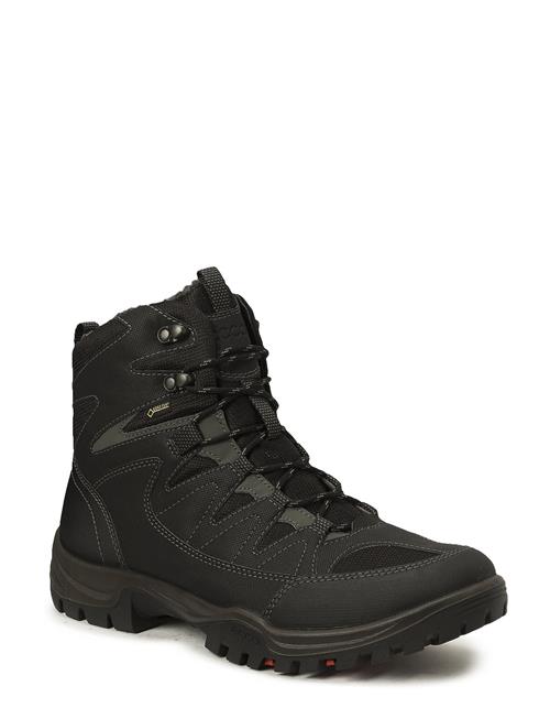 Xpedition Iii M ECCO Black