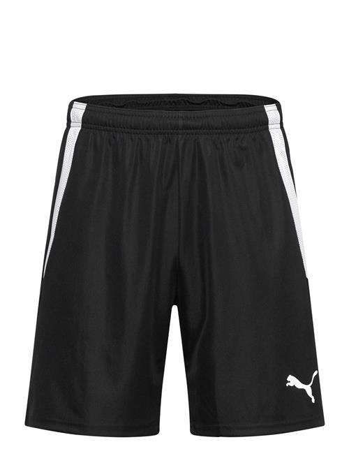 Teamliga Shorts PUMA Black