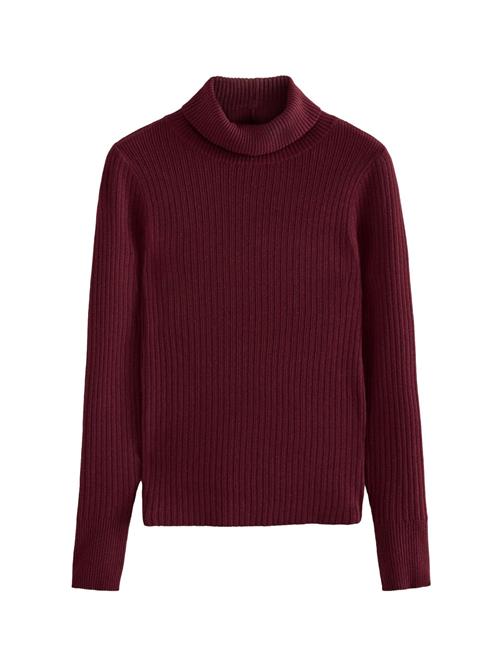 Next Pullover  bordeaux / burgunder