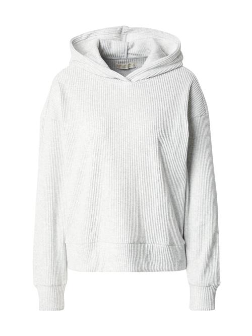 Abercrombie & Fitch Sweatshirt  lysegrå