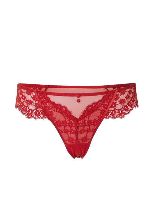 Hunkemöller String 'Daisy'  rød