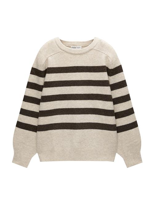 Pull&Bear Pullover  beige / mørkebrun