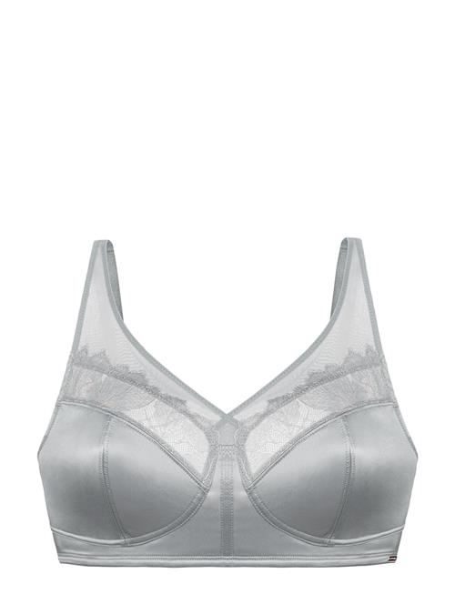 Mariah Minimizer Dorina Grey