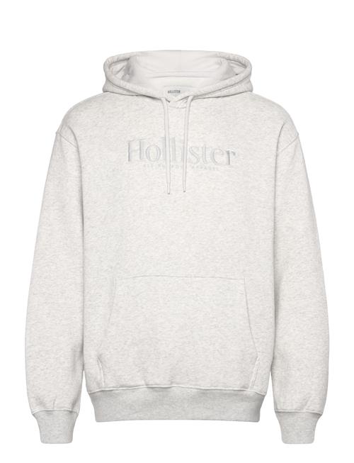 Hollister Hco. Guys Sweatshirts Hollister Grey