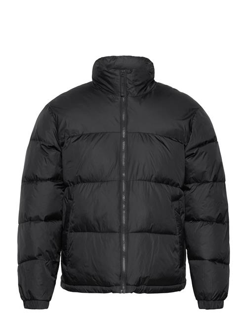 Hco. Guys Outerwear Hollister Black