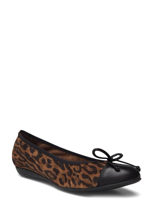 A-6134 Wonders Brown