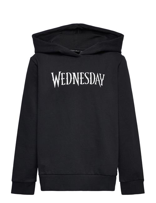 LMTD Nlfsille Wednesday Sweat Wh Bru Sky LMTD Black