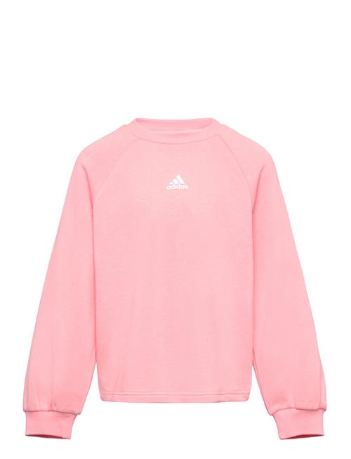 Jg Jam Crew Adidas Sportswear Pink