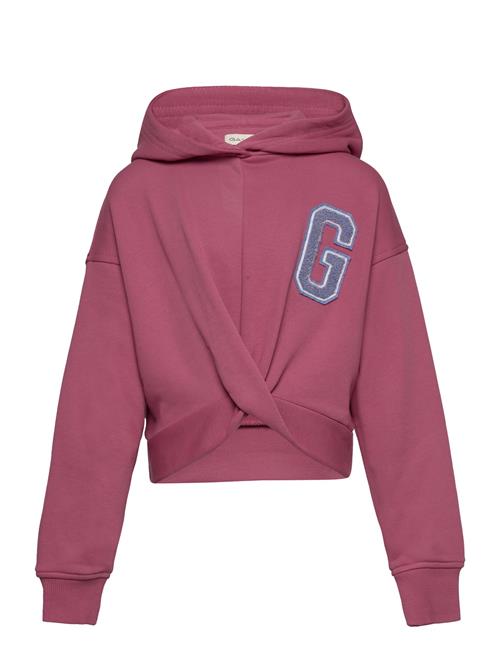 Twisted Sweat Hoodie GANT Pink