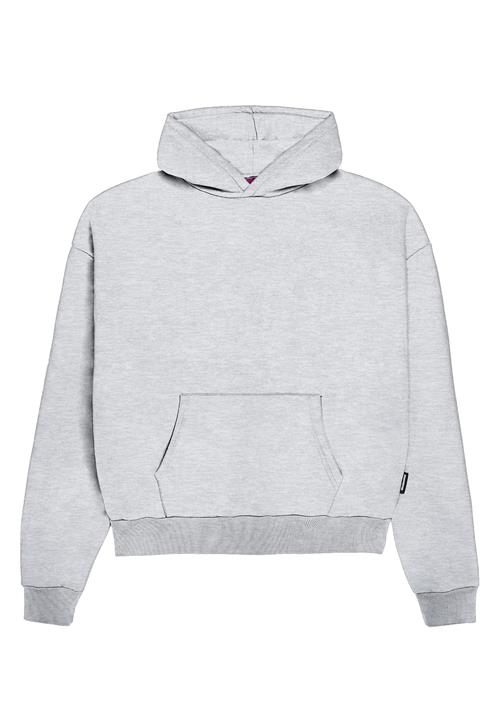 Se Prohibited Sweatshirt  grå-meleret ved About You