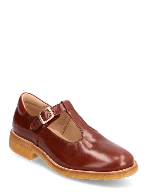 Shoes - Flat - With Buckle ANGULUS Brown