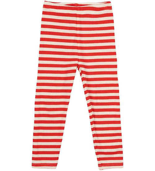 The New Leggings - Rib - TnstFro - Poppy Red Striped