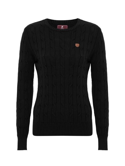 Williot Pullover  brun / sort