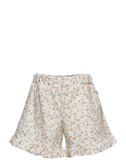 Wheat Shorts Camille Wheat Cream