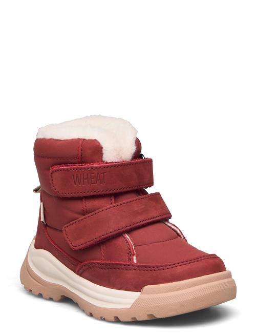 Wheat Millas Double Velcro Tex Wheat Red