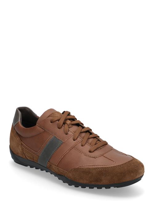 GEOX U Wells A GEOX Brown