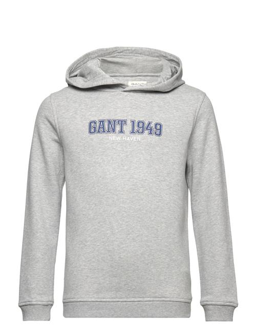 GANT Gant 1949 Hoodie GANT Grey