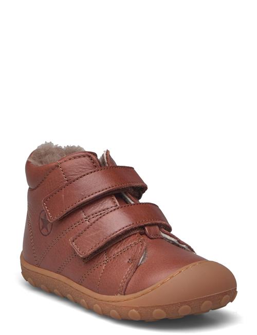 Bisgaard Bisgaard Hale V Lamb Bisgaard Brown