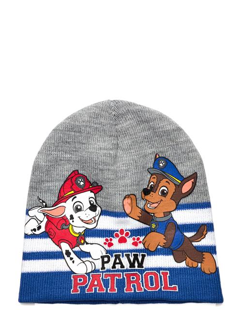 Cap Paw Patrol Grey