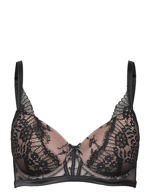 Daphne Padded Underwired Bra Hunkemöller Black