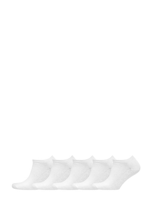 Decoy Decoy Sneaker Sock Cotton 5-Pk Decoy White