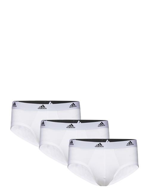 Brief Adidas Underwear White