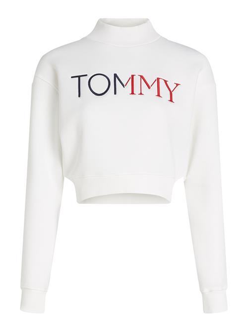 Tommy Jeans Sweatshirt  marin / rød / hvid