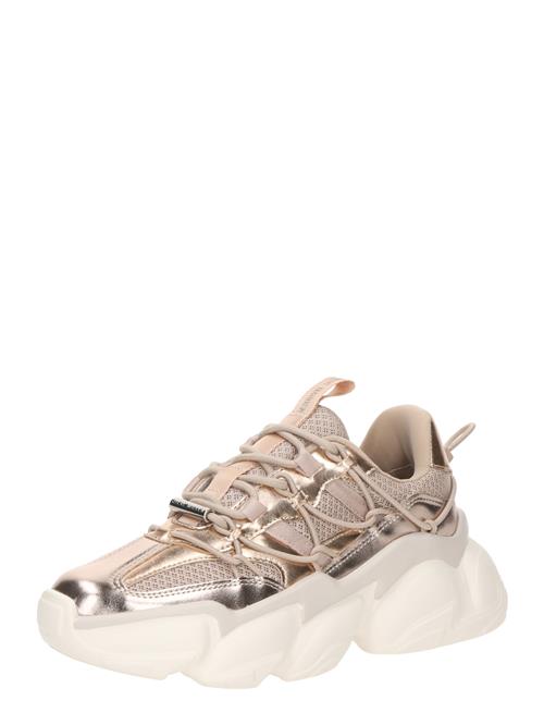 STEVE MADDEN Sneaker low 'SPECTATOR'  rosa guld