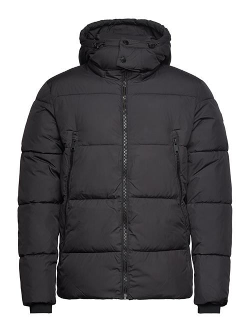 Casual Friday Cfwilson 0085 Short Puffer Jacket Casual Friday Black