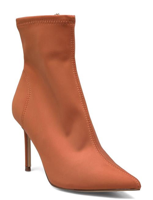 Layne Bootie Steve Madden Brown