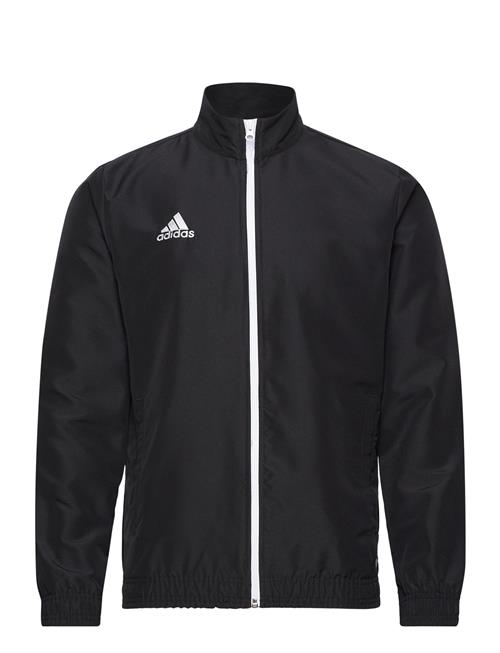 Ent22 Pre Jkt Adidas Performance Black